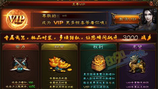 武道世界VIP