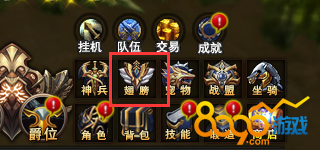 翅膀