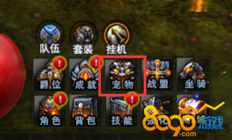 宠物系统